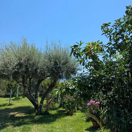 With Cute Garden Space *