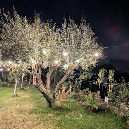 Apartament With Cute Garden Space Nydri (Lefkada)