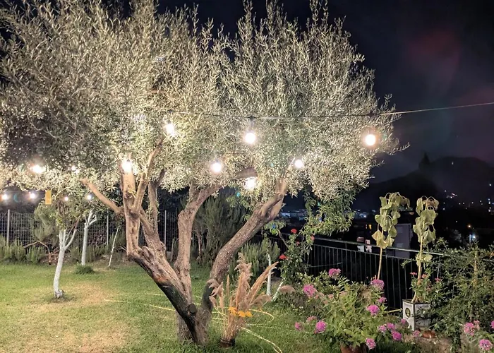 Apartament With Cute Garden Space Nydri (Lefkada)
