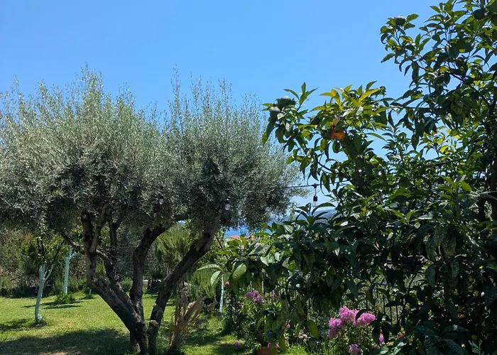 With Cute Garden Space *